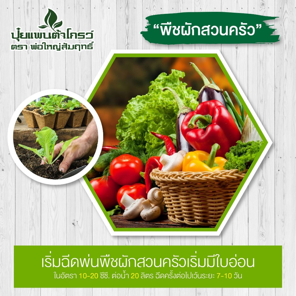 [2 ขวด] Pantagrow ปุ๋ยแพนต้าโกรว์ (ตรา) พ่อใหญ่สัมฤทธิ์ - รูปที่ 3