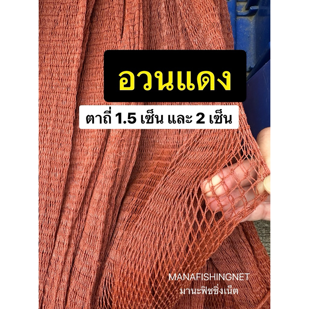 อวนแดง ตา 1.5 เซ็นและ 2 เซ็น แบบชั่งขายเป็นกิโล เอากี่กิโลกดเพิ่มจำนวนในระบบได้เลยค่ะ ตัดให้เป็นผืนเดียว