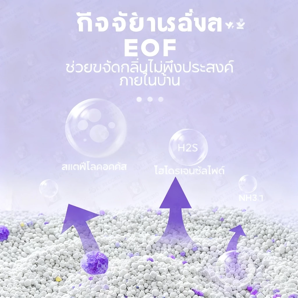 【Pet Record】🔥ทรายแมว  เบนโทไนท์ （ถุงละ 2KG/6L）ดูดซับกลิ่นดีเยี่ยม กำจัดกลิ่นไม่พึงประสงค์ thumbnail 7