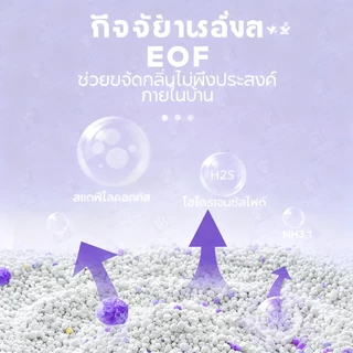 【Pet Record】🔥ทรายแมว เบนโทไนท์ （ถุงละ 2KG/6L）ดูดซับกลิ่นดีเยี่ยม กำจัดกลิ่นไม่พึงประสงค์