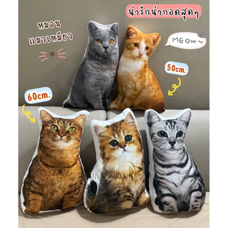 🌈ตุ๊กตาหมอนพิมพ์ลายแมว หมอนแมวเหมียว ภาพสีคมชัด พิมพ์ลาย2ด้าน ขนาด 50cm./60cm. มีหลายลายให้เลือกเลื่อนดูได้เลยค่า💗