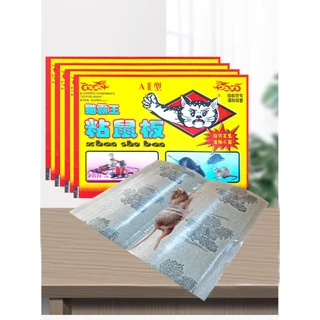 【10pcs】กาวดักหนู แผ่นกาวดักหนูสำเร็จรูป พร้อมถาด ที่ดักหนู