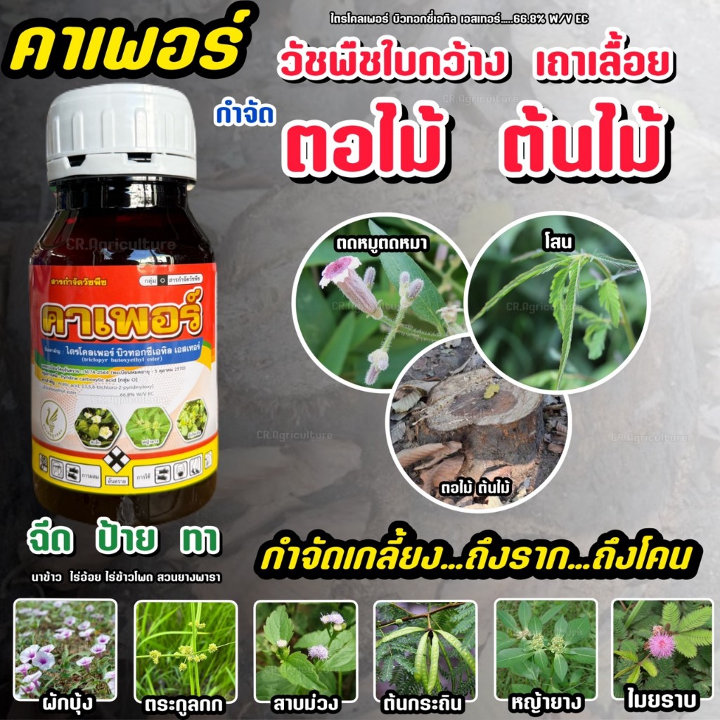 สารกำจัดต้นไม้  คาเพอร์ ไตรโครเพอร์ ยาฆ่าหญ้า ยาฆ่าตอไม้ ใบกว้าง เครือเถา โสน ตอไม้ กำจัดต้นไม้ 250cc. การ์ลอน ไซทรอน