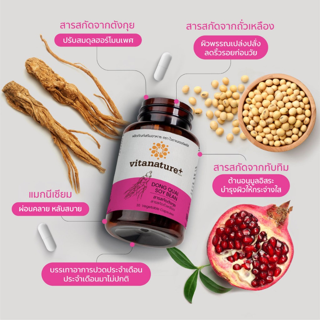 Vitanature+ Dong Quai Extract with Soy Lecithin 1 กระปุก สารสกัดตังกุย ผสมเลซิตินจากถั่วเหลือง - รูปที่ 2