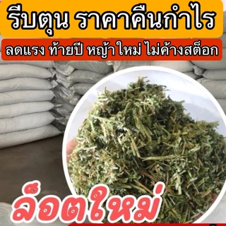 🎉best 1st🎉 อัลฟาฟ่าสับ ออสเตรเลีย ฝุ่นน้อย 5กก ขายดี