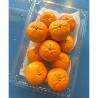 🍊ส้มไต้หวัน 1 กิโลกรัม ลูกสวย คัดพรีเมี่ยมรสชาติติดอับดับ อร่อยมากเนื้อหวานฉ่ำ ทานแล้วสดชื่นมาก