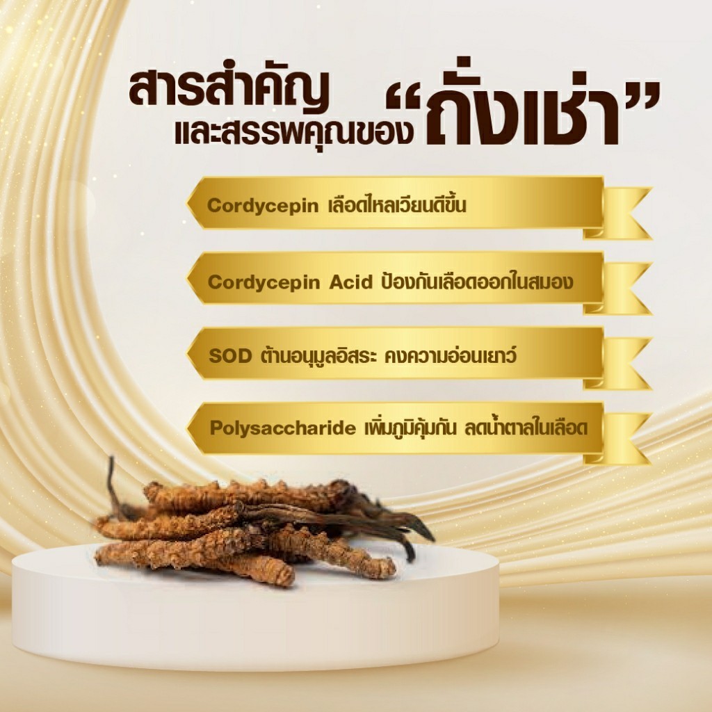 SET 5 ชิ้น ถั่งเช่า ผสม มัลติวิตามิน บี ผลิตภัณฑ์เสริมอาหาร Cordyceps Plus Multivitamin B ถังเช่า - รูปที่ 2