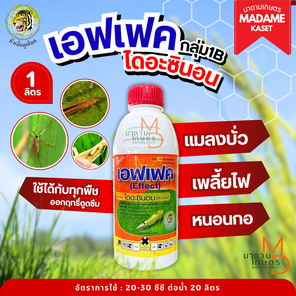 เอฟเฟค หัวเสือลูกโลก ไดอะซินอน60% กลุ่ม1B 1 ลิตร สูตรเย็น สำหรับกำจัดแมลงบั่ว หนอนกอ เพลี้ยไฟ