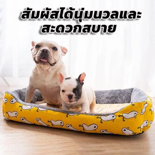 🔥 พร้อมส่ง 🔥 ที่นอนสัตว์เลี้ยง ที่นอนแมว ที่นอนสุนัข หมา เบาะแมว เบาะหมา เบาะรองนอน แบบสี่เหลี่ยม Pet Bed