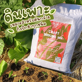 ดินเพาะกล้า เพาะเมล็ด เกรดพรีเมียม 5 กิโล (10 ลิตร) 100% ออร…