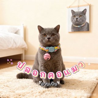 ปลอกคอสัตว์เลี้ยงนิรภัยลายเปีย DIY