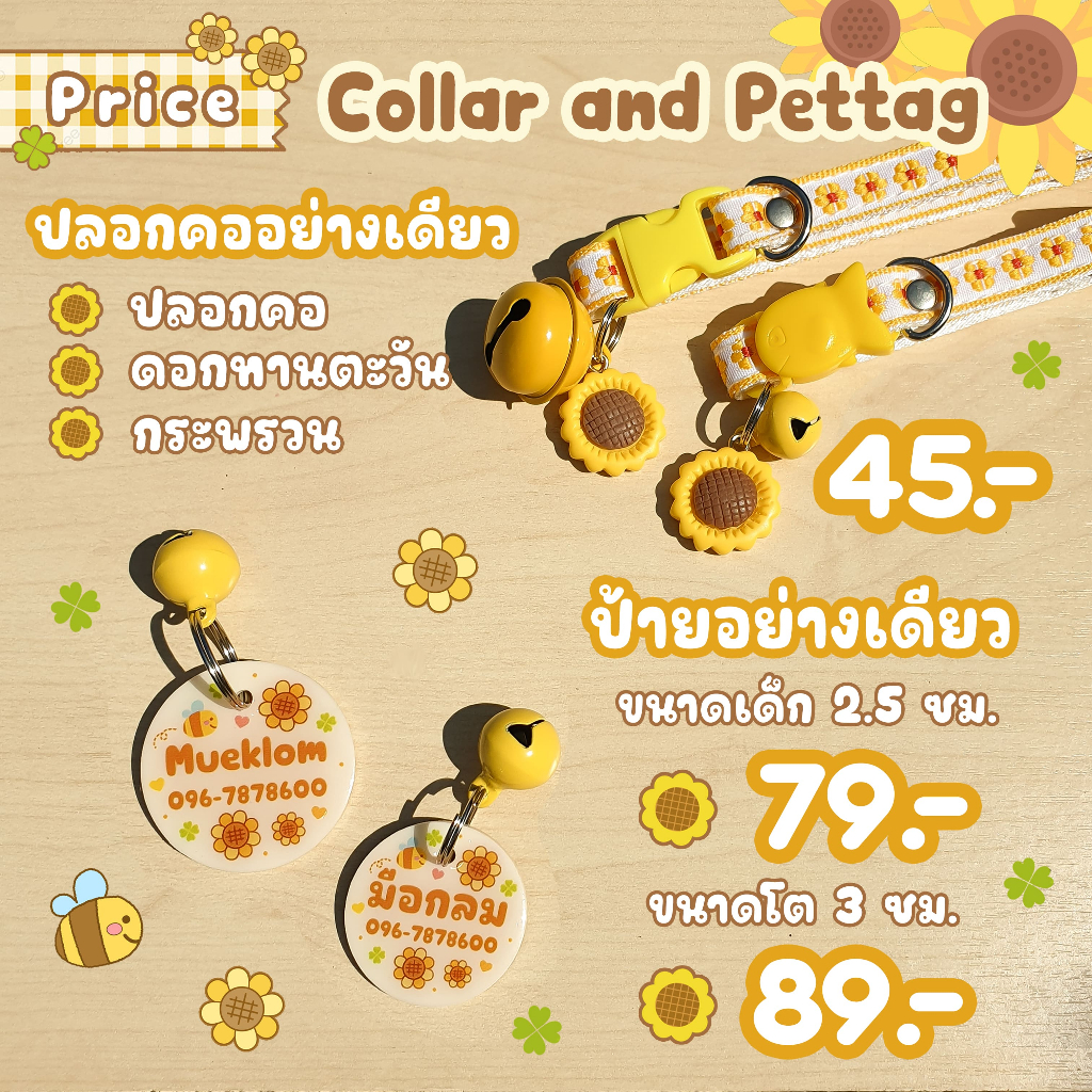 รูปภาพ 4