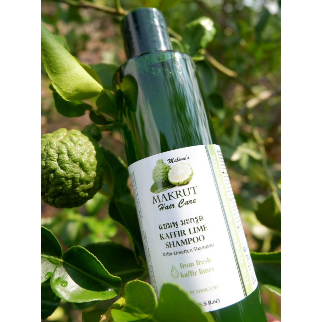 มะกรูด แฮร์แคร์ แชมพูมะกรูด  Kaffir Lime Shampoo 250ml - Makrut Hair Care