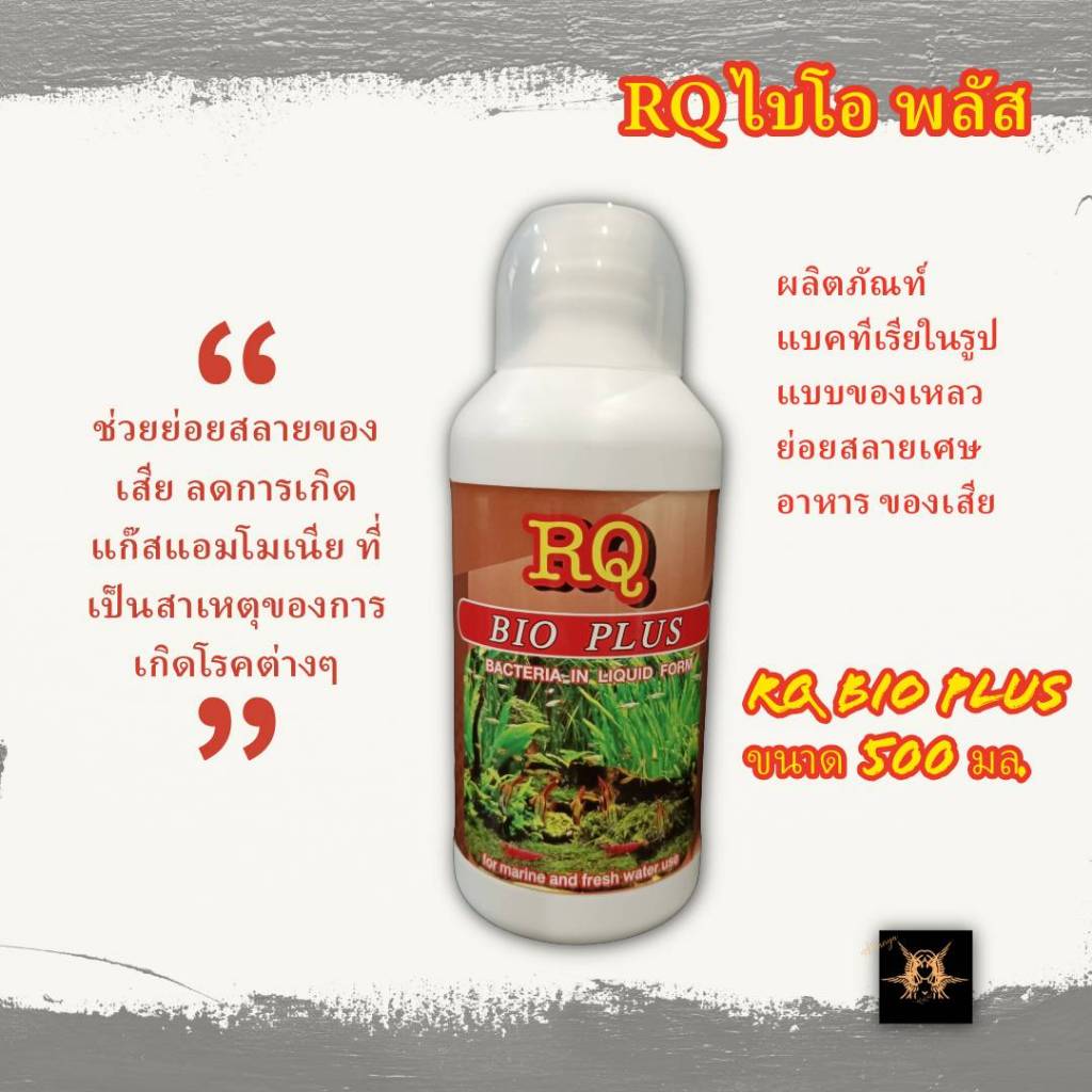 ผลิตภัณฑ์แบคทีเรียในรูปแบบของเหลว อาร์คิว ไบโอ พลัส RQ Bio Plus ขนาด 500 มล. ฝาสีขาว สำหรับปลาสวยงามน้ำจืดและน้ำทะเล