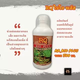 ผลิตภัณฑ์แบคทีเรียในรูปแบบของเหลว อาร์คิว ไบโอ พลัส RQ Bio Plus ขนาด 500 มล. ฝาสีขาว สำหรับปลาสวยงามน้ำจืดและน้ำทะเล