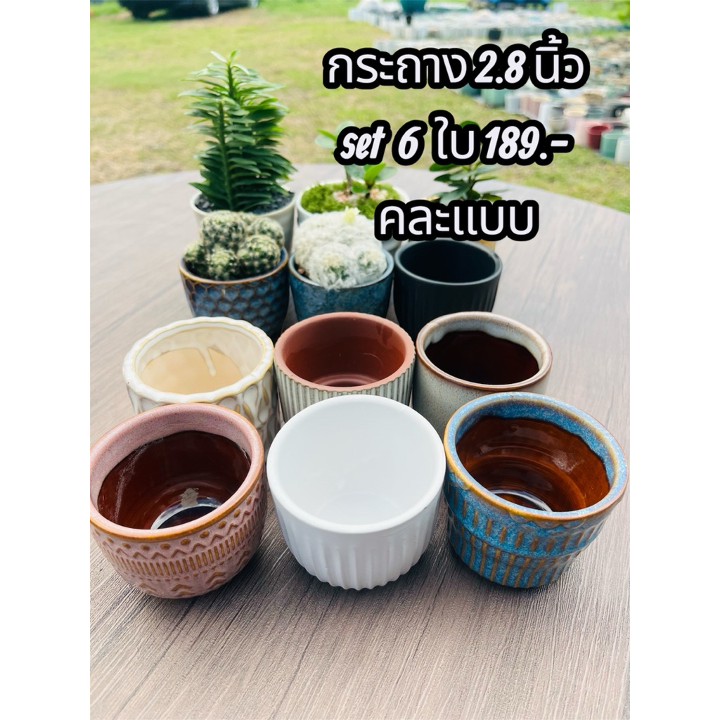 กระถางต้นไม้ กระถางเซรามิค 2.8 นิ้ว ขายเป็น set 6 ใบ 189.- (คละแบบให้)