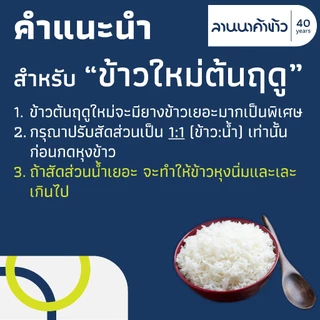 ข้าวไดโนเสาร์​ (15kg) ข้าวหอมมะลิ 100% (ใหม่ต้นฤดู/เก่ากลางปี) 15กก.