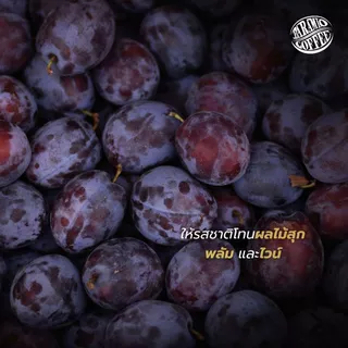 Baramio เมล็ดกาแฟคั่ว รุ่น Kaewma Farm (แก้วมาฟาร์ม) 200 g. (Arabica100%) Tastenote: Ripe fruit, Plum, Winey