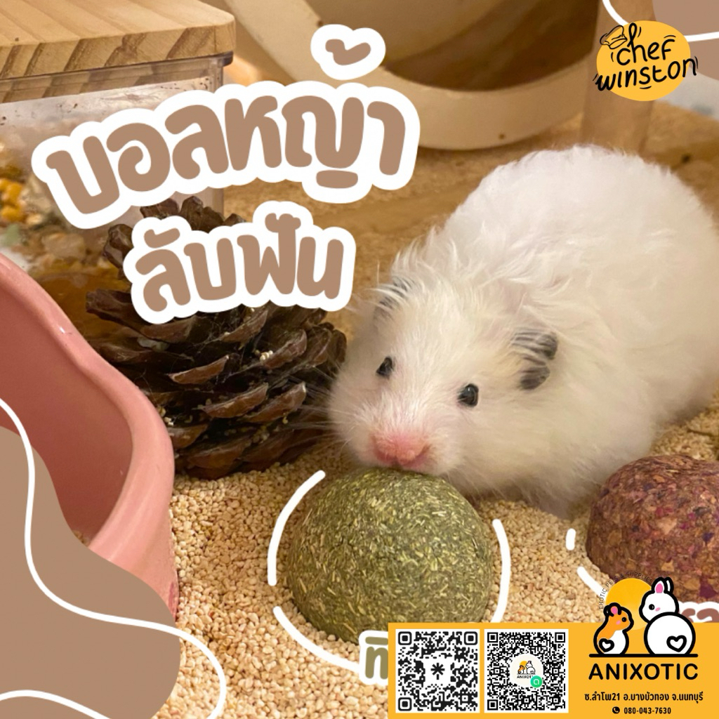 Chef Winston [ขนมลับฟัน] บอลหญ้า หญ้าอัดก้อน หญ้าลับฟัน