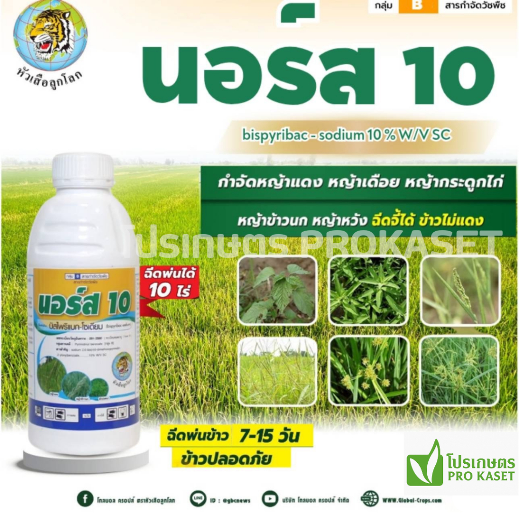 นอร์ส 10 (บิสไพริแบก-โซเดียม 10%) ขนาด 500 มล. กำจัดหญ้าข้าวนก หญ้าเดือย หญ้าแดง และหญ้าดอกขาว ในนาข้าว