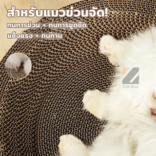 ของแท้! กล่องกระดาษแมว 4 ไซส์ ซื้อ 1 แถม 1 ทนข่วน ไม่เหลือง ใหญ่ ใช้ได้ทั้งปี