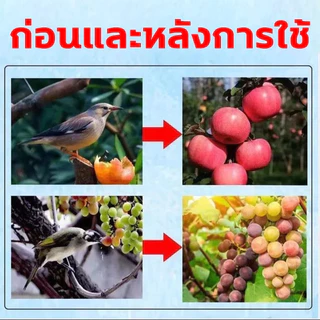 🦜ไล่นกได้ดี เห็นผลไว🦜 ก้อนไล่นกพิราบ 1 แพ็ค 9 เม็ด กลิ่นขับไล่แรง กันนกเกาะ ใช้งานง่าย เหมาะกับบ้าน ระเบียง โรงรถ