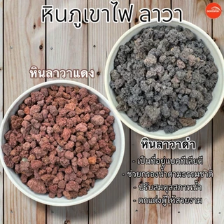 หินภูเขาไฟ ลาวาร็อค Lava Rock ตกแต่งตู้ปลา เพิ่มแบคทีเรียดี เพิ่มออกซิเจนในน้ำ