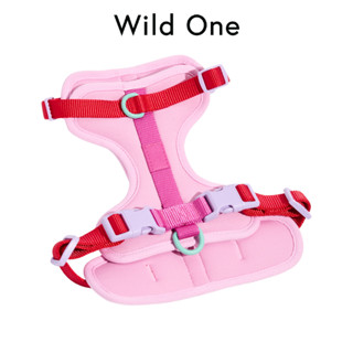 Wild One  -  Harness  |  Bubblegum 💓💓
