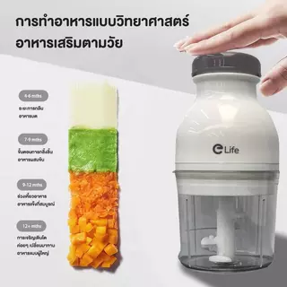 Elife เครื่องปั่น ไฟฟ้า ปั่นอาหารเด็ก สินค้าผ่านมาตรฐานรับรอง ทำสมูทตี้ ปั่นผักผลไม้ blender บดละเอียด เครื่องบด