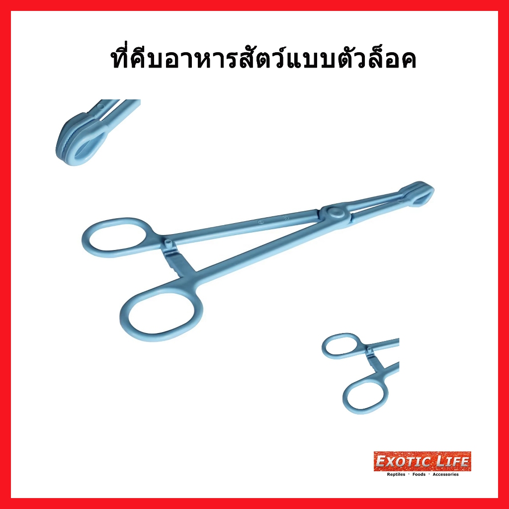 Nomoy Pet ที่คีบให้อาหารสัตว์เลื้อยคลานชนิดขาล็อคผลิตจากวัสดุFood Gradeปลอดภัยสำหรับสัตว์เลื้ยงขนาด24.5 cm