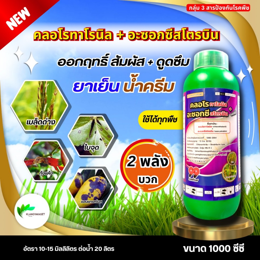 คลอโรทาโลนิล +อะซอกซีสโตรบิน ซิกม่า ขนาด 1 ลิตร🔴🔴 เรดโรบิน ป้องกันกำจัดเชื้อราออกฤทธิ์ทั้ง สัมผัส และดูดซึม โรคใบไหม้ โร