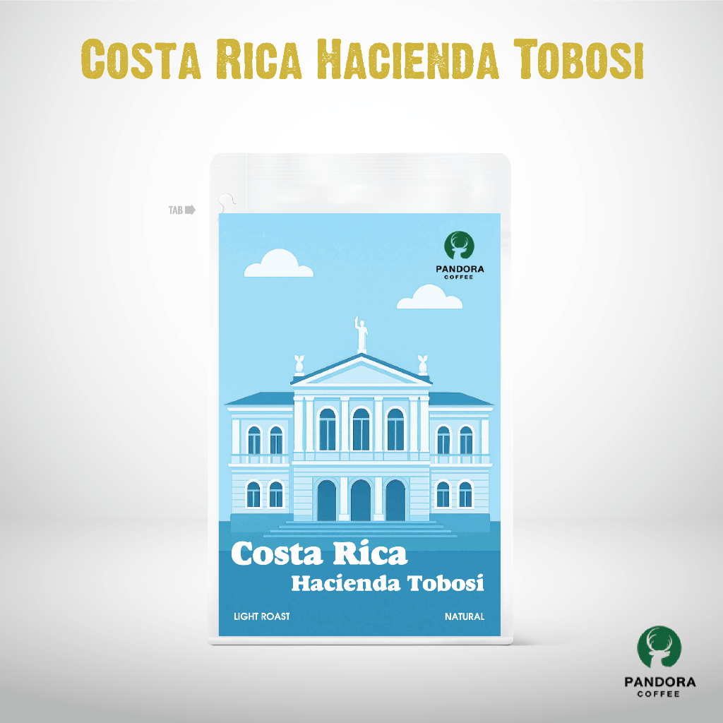 เมล็ดกาแฟ Costa Rica Hacienda Tobosi คั่วอ่อน Light Roast ขนาด 200 กรัม Pandora Coffee