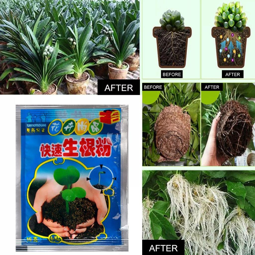ผงเร่งรากพืช Fast Rooting Powder ผงบำรุงรากพืช Hormone Growing Root Seedling Clone รากพืช
