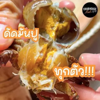 Crabhouse- ปูนาเกรดพรีเมี่ยม โปร 3 แถม 1 ราคาพิเศษเดือนนี้เท่านั้น (ไม่สามารถเลือกไซส์ได้) [ส่งด่วน+ส่งห้องเย็น]