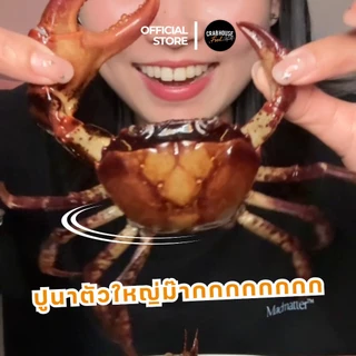 Crabhouse- ปูนาเกรดพรีเมี่ยม โปร 3 แถม 1 ราคาพิเศษเดือนนี้เท่านั้น (ไม่สามารถเลือกไซส์ได้) [ส่งด่วน+ส่งห้องเย็น]