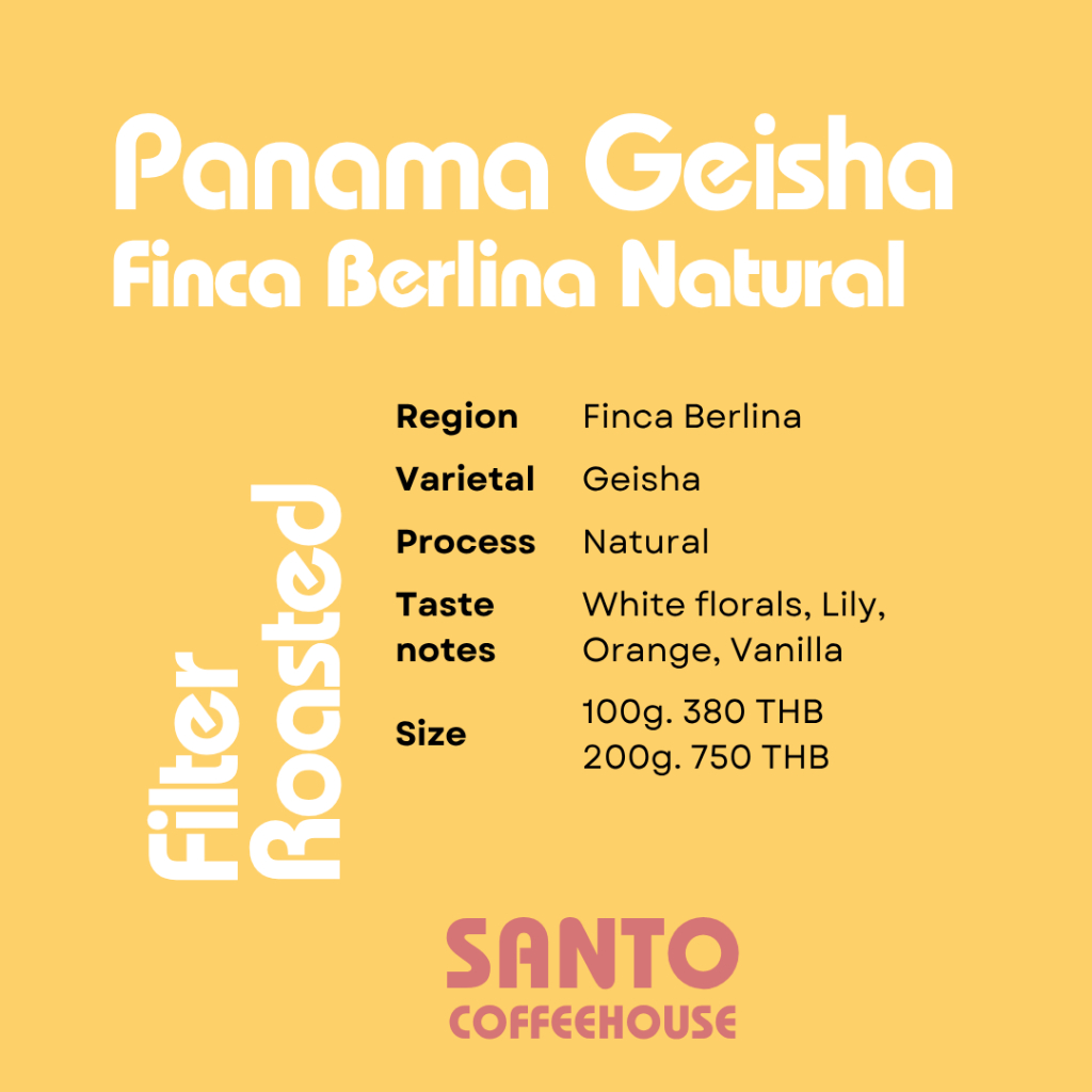 Panama Geisha Finca Berlina Natural - Filter Roasted