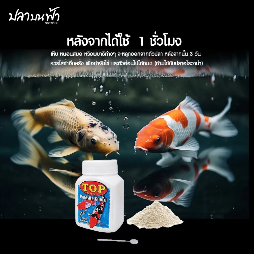 TOP PARASITE GUARD ผลิตภัณฑ์ควบคุมพยาธิภายนอกปลา สำหรับปลาสวยงาม ขนาด 50 กรัม thumbnail 4