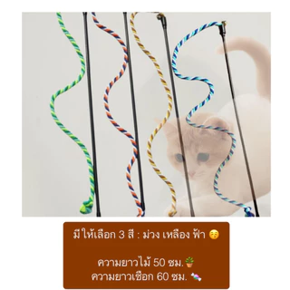 BN-619 ไม้ล่อแมวของเล่นแสนสนุกที่น้องแมวทุกตัวต้องมี 🐾✨ ช่วยให้วิ่งเล่นเพลิน เสริมพัฒนาการได้ดี