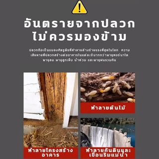 🔥สินค้านำเข้าจากเยอรมัน🔥กำจัดปลวกอย่างรวดเร็ว ยาฆ่าปลวก น้ำยากำจัดปลวก ยาฉีดปลวก ยาปลวก 550มล ปกป้องสองชั้น