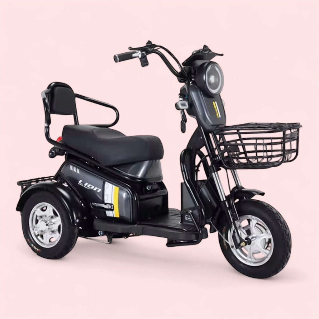 รถสามล้อไฟฟ้า Electric Tricycle ยี่ห้อ Lion รุ่น LNE-6803