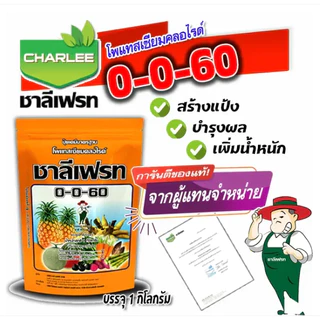 (12ถุง) ชาลีเฟรท 0-0-60 ขนาด1Kg.โพแทสเซียมคลอไรด์ ปุ๋ยเคมีมาตรฐาน ปุ๋ยเกล็ดเร่งแป้ง ปุ๋ยเกล็ด เร่งน้ำหนักเร่งหัว