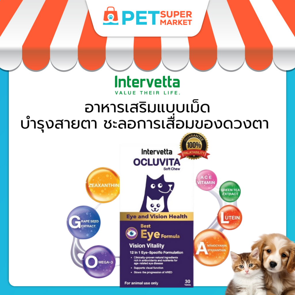 Ocluvita อาหารเสริมเพื่อบำรุงสายตาและดวงตา สำหรับสุนัขและแมว 30 เม็ด