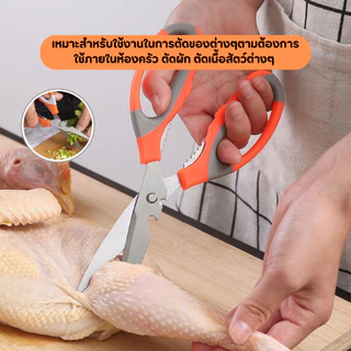 กรรไกร กรรไกรทำอาหาร กรรไกรสแตนเลส อเนกประสงค์ ทนทาน ใช้งานง่าย ขนาดมาตรฐาน