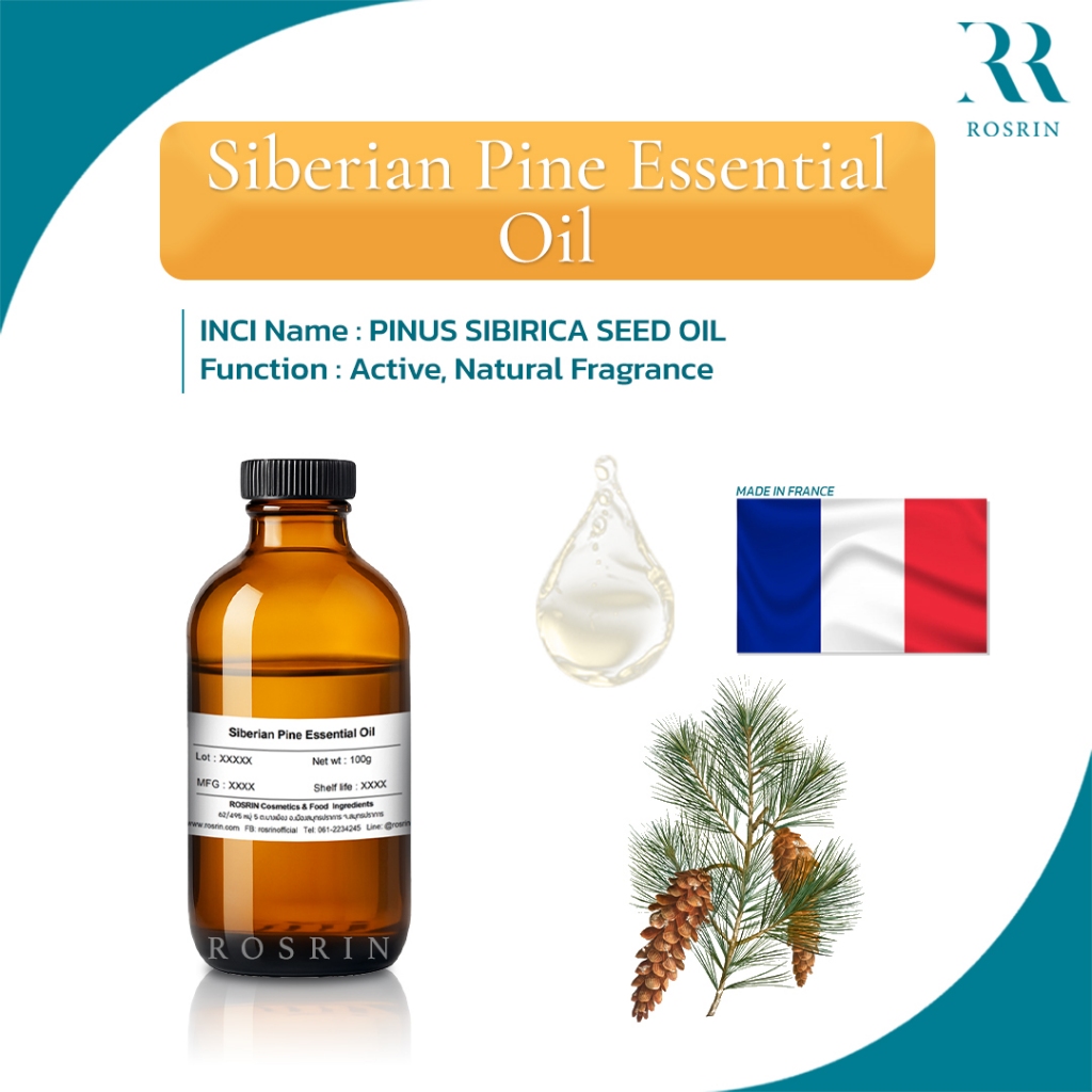 PINE OIL SIBERIAN น้ำมันหอมระเหยสน จากฝรั่งเศส ขนาด 25g-100g