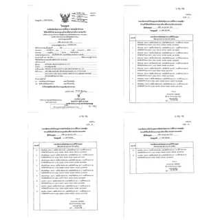 PAE-201 เครื่องหนีบผม ที่หนีบผม ทำผมตรงหรือลอน อุปกรณ์ทำ ปรับได้4ระดับ