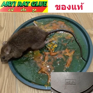 ARYI กาวดักหนู อายี่ ของแท้ กาววิทยาศาตร์ เหนียวมาก ชนิดถาดสำเร็จรูป กาวดักหนูสำเร็จรูป 1ชุด มี2แผ่น