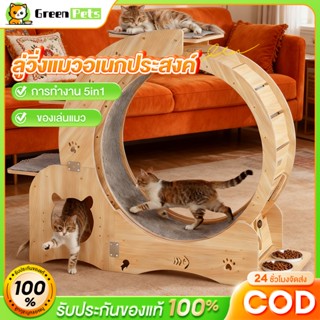 ลู่วิ่งสำหรับแมว ลู่วิ่งไม้สำหรับสัตว์เลี้ยง ลู่วิ่งสำหรับสั…