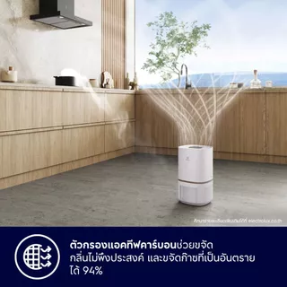 Electrolux เครื่องฟอกอากาศ พร้อมตัวกรอง 5 ขั้นตอน สำหรับห้องขนาด 29 ตร.ม. UltimateHome 300 รุ่น EP32-26UGA