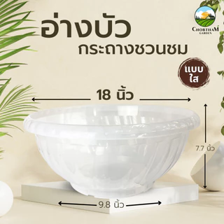 อ่างบัวเลี้ยงปลา กระถางชวนชม ขนาด 18 นิ้ว