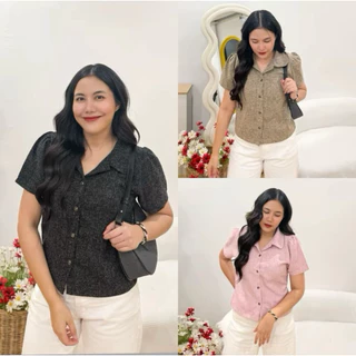 TweedTy shirt เสื้อทวิตตี้เชิ้ต-ซูการ์คอบัว